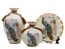 NEWQZ Classical Ceramic Vases Set of 3-Piece Chinese Vases for Home Decor Style: Peacock Pattern